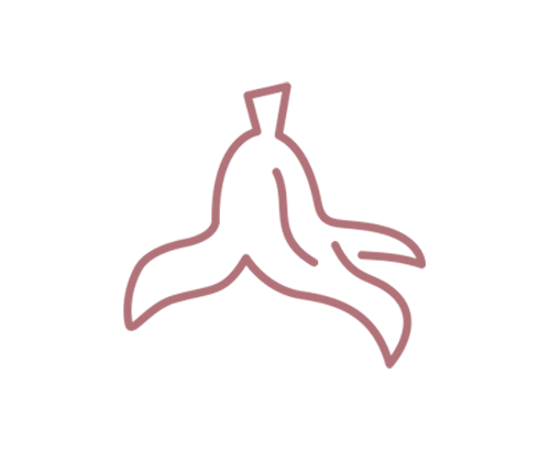 biodéchets
